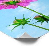 Het bereiken van het leven poster (Hoek)