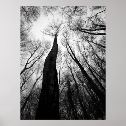 Het bereiken van poster (Voorkant)