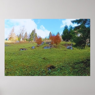 Het Bergweiland - Wilde Natuur Roemenië Poster