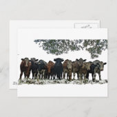 Het beslag briefkaart (Voorkant / Achterkant)