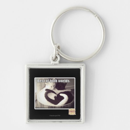 Het beste van beide werelden. sleutelhanger (Voorkant)