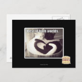 Het beste van twee werelden. briefkaart (Voorkant / Achterkant)