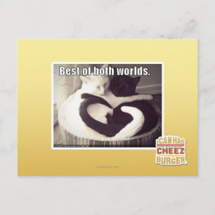 Het beste van twee werelden. briefkaart