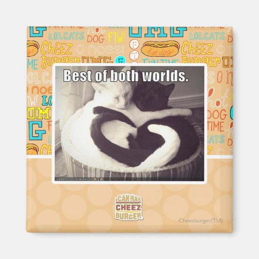 Het beste van twee werelden. magneet (Voorkant)