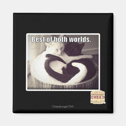 Het beste van twee werelden. magneet (Voorkant)