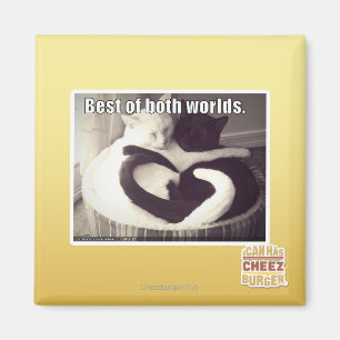 Het beste van twee werelden. magneet