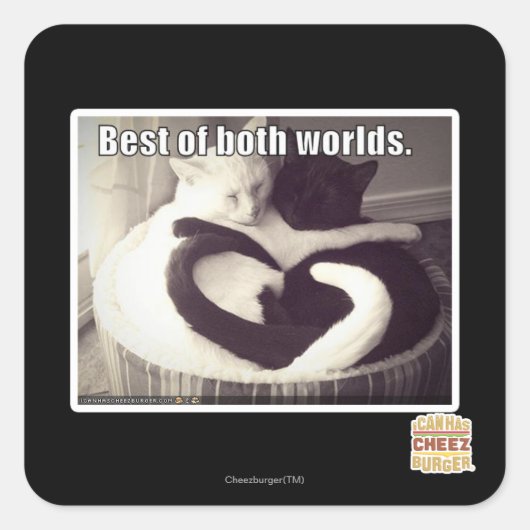 Het beste van twee werelden. vierkante sticker (Voorkant)