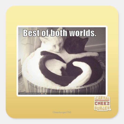 Het beste van twee werelden. vierkante sticker (Voorkant)