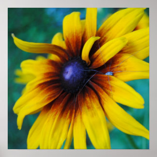 Het bewaken van de schoonheid poster