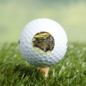 Het bezit van Optices Golfballen (Insitu Shirt)