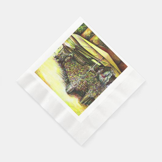 Het bezit van Optices Servet (Hoek)