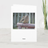 Het bidden Duif Kaart (Achterkant)