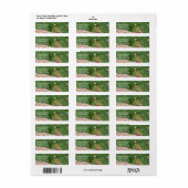 Het bidden Mantis omhoog Dichte Adres van de Natuu Etiket (Full Sheet)