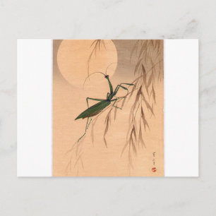 Het bidden van Mantis en de Moon Japans Kunst c. j Briefkaart