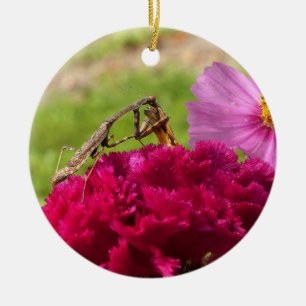 Het bidden van Mantis Het ontleden van een Moth Keramisch Ornament