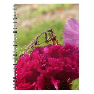 Het bidden van Mantis Het ontleden van een Moth Notitieboek