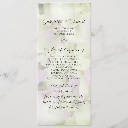 Het bijna-roze weddenschapsprogramma Hydrangea Programma (Voorkant)