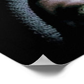 Het Blair Witch-project Poster (Hoek)