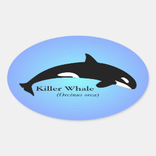 Het Blauw van de Gradiënt van de Orka van de orka Ovale Sticker