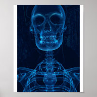Het Blauwe Man