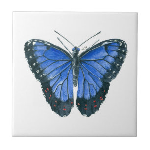 Het blauwe Morpho vlinderwaterverf schilderen Tegeltje
