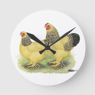 Het Bleekgele Paar van Brahma Ronde Klok