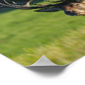 Het blijven rusten in de groene gras poster (Hoek)