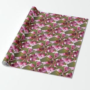 Het bloeden Redbud met Ladybug Cadeaupapier