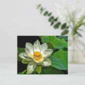 Het Bloeien van Lotus Briefkaart (Staand voorkant)