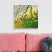Het Boliviaanse Amazonegebied Canvas Afdruk (Insitu (Woonkamer))