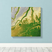 Het Boliviaanse Amazonegebied Canvas Afdruk (Insitu (Houten vloer))