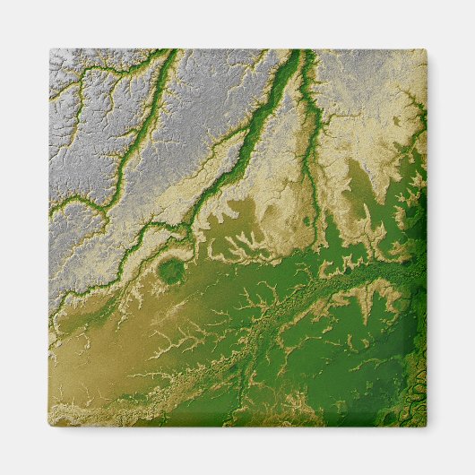 Het Boliviaanse Amazonegebied Magneet (Voorkant)