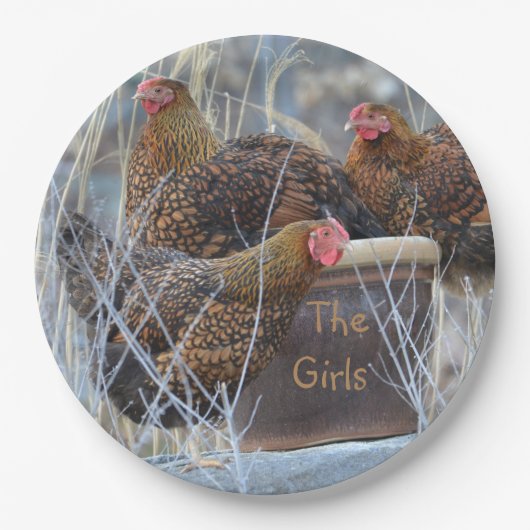 Het Bord van de "Girls" Chicken Paper (Voorkant)