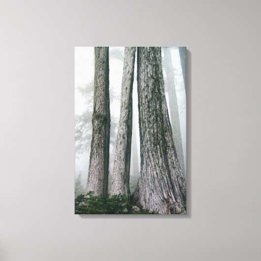 Het bos aanhalen canvas afdruk (Voorkant)