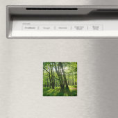 Het bos in de lente magneet (Insitu (Vaatwasser))