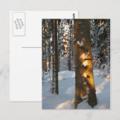 Het bos in de winter briefkaart (Voorkant / Achterkant)