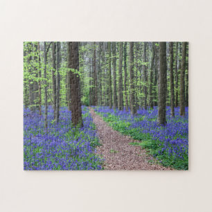 Het bos van Halle Halle, België Legpuzzel