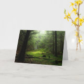 Het Bos van Sterious Kaart (Gele Bloem)