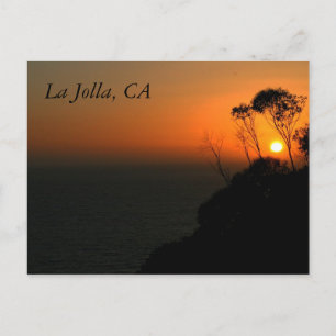 Het Bosje van de Eucalyptus van La Jolla Briefkaart