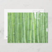 Het Bosje van het bamboe Briefkaart (Voorkant / Achterkant)
