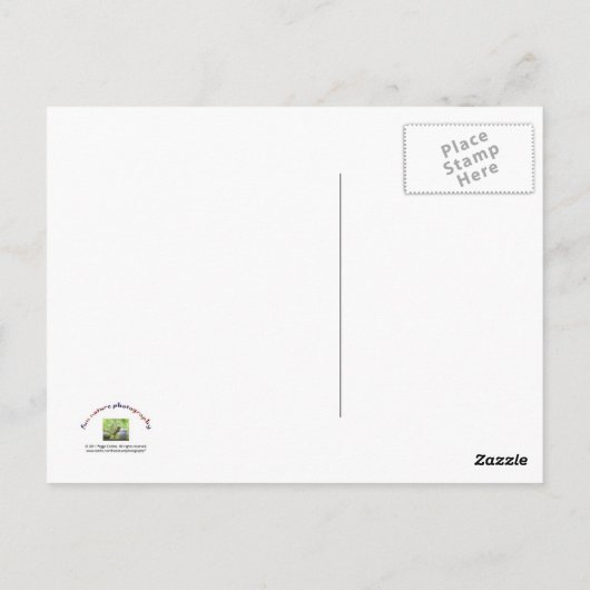 "Het Boss-eekhoorn" Briefkaart (Achterkant)