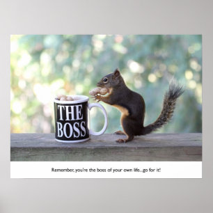 "Het Boss-eekhoorn" Poster