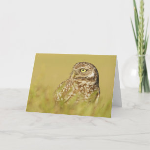 Het branden van Owl sluit het Wenskaart van het Pr Kaart