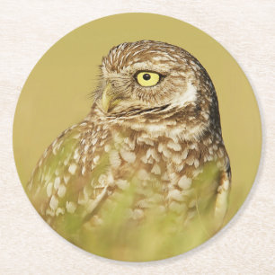 Het branden van Owl sluit Profiel op Onderzetters