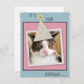 Het Briefkaart Cat Birthday bekijken (Voorkant / Achterkant)