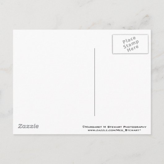 Het Briefkaart Date Afstuderen opslaan (Achterkant)