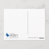 Het briefkaart "De Koala-knuffel" is een prachtig  (Achterkant)