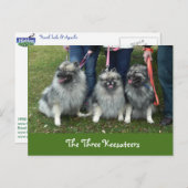 Het Briefkaart Drie Keesateers (Voorkant / Achterkant)