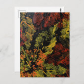 Het Briefkaart in de herfst (Voorkant / Achterkant)