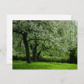Het Briefkaart Orchard (Voorkant / Achterkant)